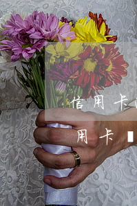 信用卡逾期半小時補上可以嗎(逾期半年的信用卡還完錢還能用嗎)