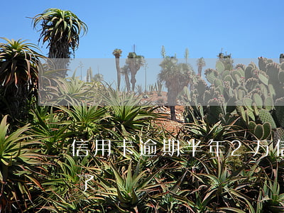 信用卡逾期半年2万(信用卡2万逾期一年多了)