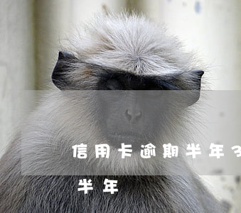 信用卡逾期半年3萬多 信用卡3000逾期半年