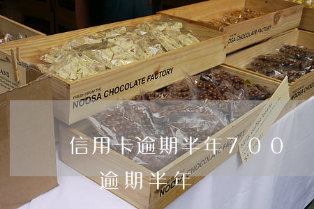 信用卡逾期半年700億(信用卡欠7000塊逾期半年)