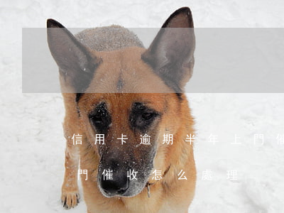 信用卡逾期半年上門催收(信用卡逾期半年上門催收怎么處理)