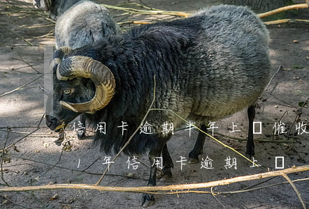 信用卡逾期半年上門催收怎么處理-2021年信用卡逾期上門