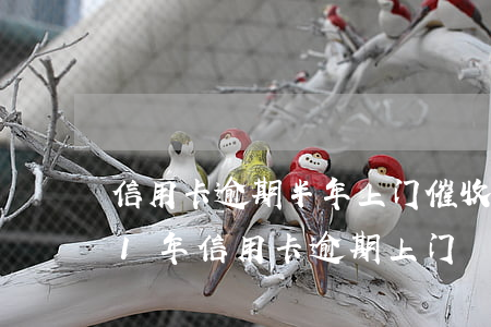 信用卡逾期半年上门催收怎么处理-2021年信用卡逾期上门