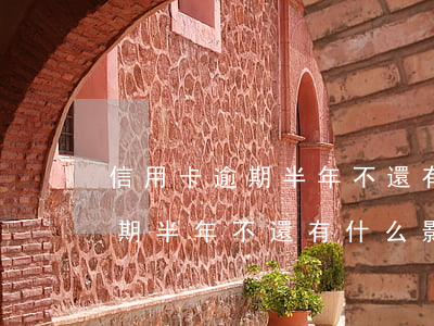 信用卡逾期半年不還有什么影響-信用卡逾期半年不還有什么影響嗎