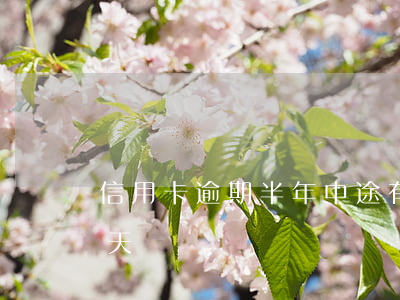 信用卡逾期半年中途有還款(還信用卡逾期一天)