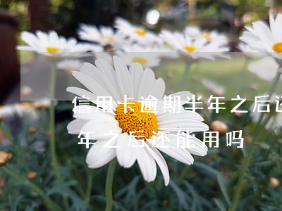 信用卡逾期半年之后还能用吗(信用卡逾期半年之后还能用吗)