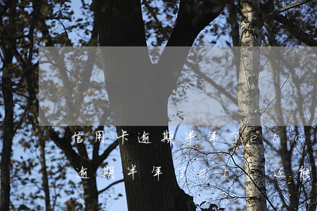 信用卡逾期半年了etc还能用吗-信用卡逾期半年了etc还能用吗