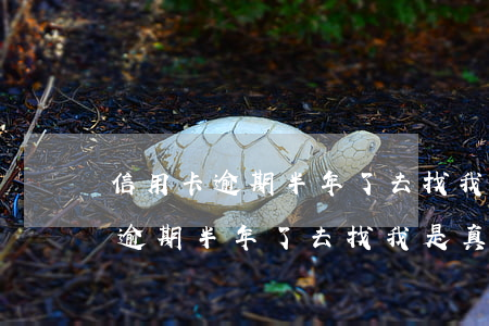 信用卡逾期半年了去找我是真的嗎-信用卡逾期半年了去找我是真的嗎還是假的