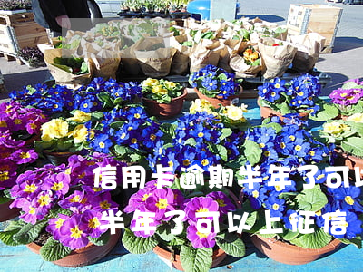 信用卡逾期半年了可以上征信嗎（信用卡逾期半年了可以上征信嗎）