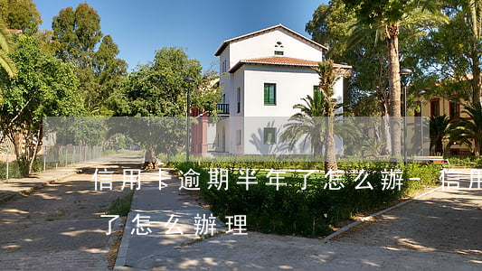 信用卡逾期半年了怎么辦-信用卡逾期半年了怎么辦理