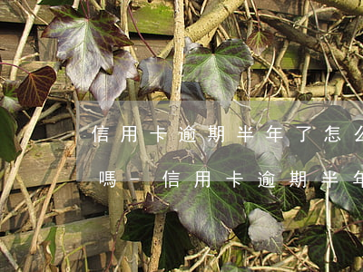 信用卡逾期半年了怎么辦會(huì)坐牢嗎-信用卡逾期半年了怎么辦會(huì)坐牢嗎知乎