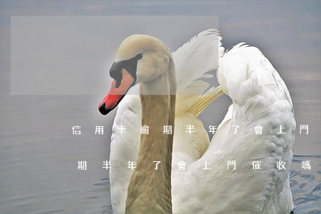 信用卡逾期半年了會上門催收嗎-信用卡逾期半年了會上門催收嗎知乎