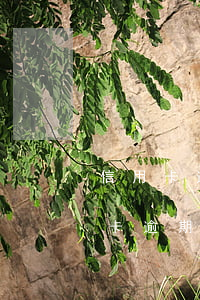 信用卡逾期半年了沒有還會怎樣(有沒有信用卡逾期一年以上沒還的)