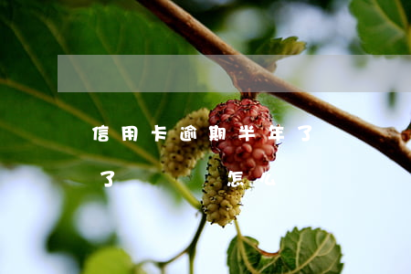 信用卡逾期半年了沒賬單-信用卡逾期半年了沒賬單怎么辦