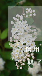 信用卡逾期半年了沒還款-忘記還信用卡逾期了
