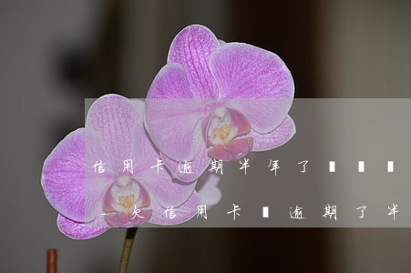信用卡逾期半年了沒錢還怎么辦我沒辦法了-欠信用卡錢逾期了半年怎么辦