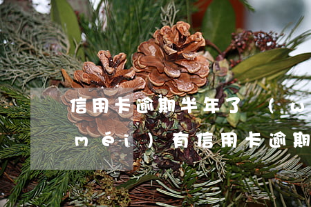 信用卡逾期半年了無(wú)法還上(有沒(méi)有信用卡逾期一年以上沒(méi)還的)