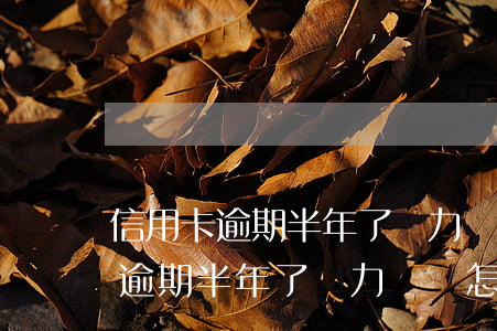 信用卡逾期半年了無力償還怎么辦-信用卡逾期半年了無力償還怎么辦理