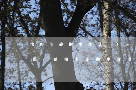 信用卡逾期半年了現(xiàn)在去公安局-信用卡逾期半年了現(xiàn)在去公安局有用嗎