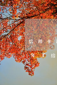 信用卡逾期半年了给我发信息(信用卡逾期半年了给我发信息怎么办)