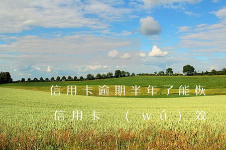 信用卡逾期半年了能恢復(fù)嗎(逾期得信用卡無(wú)效還能恢復(fù)嗎)