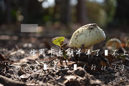 信用卡逾期半年了還不上-信用卡逾期半年了還不上會(huì)坐牢嗎