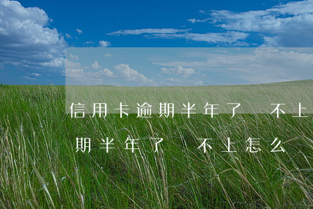 信用卡逾期半年了還不上怎么辦-信用卡逾期半年了還不上怎么辦呢