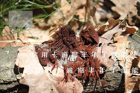 信用卡逾期半年了還能坐飛機(jī)嗎-信用卡逾期半年了還能坐飛機(jī)嗎現(xiàn)在