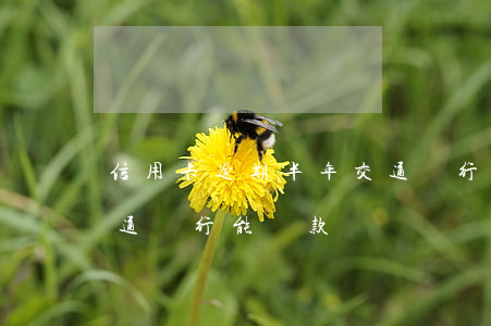 信用卡逾期半年交通銀行 信用卡逾期半年交通銀行能貸款嗎