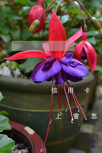 信用卡逾期半年什么后果(信用卡逾期半年以上會怎樣)