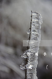 信用卡逾期半年以上主動(dòng)還款是優(yōu)先還本金-信用卡逾期半年以上主動(dòng)還款是優(yōu)先還本金嗎
