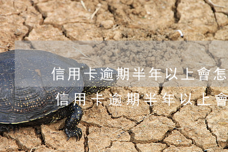 信用卡逾期半年以上會怎樣還了還能用嗎?-信用卡逾期半年以上會怎樣還了還能用嗎知乎