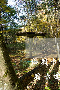 信用卡逾期半年以上還了款是扣本金的-信用卡逾期半年以上還了款是扣本金的嗎