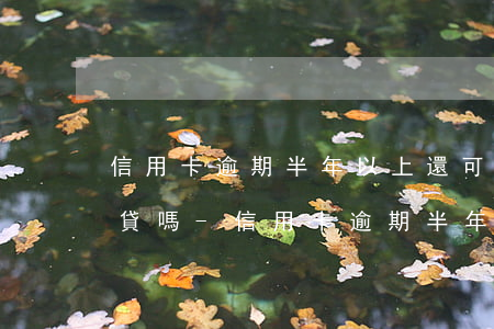 信用卡逾期半年以上還可以網(wǎng)貸嗎-信用卡逾期半年以上還可以網(wǎng)貸嗎會怎么樣