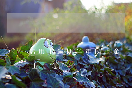 信用卡逾期半年以上金額(信用卡逾期半年以上會怎樣)