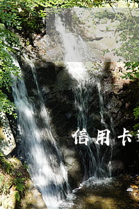 信用卡逾期半年以后还了还能用吗