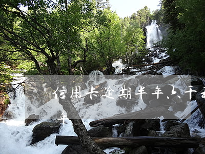 信用卡逾期半年六千利息(信用卡6千逾期三年)