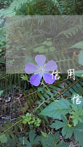 信用卡逾期半年別人發(fā)短信怎么辦-信用卡逾期半年別人發(fā)短信怎么辦呢