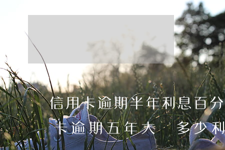 信用卡逾期半年利息百分之五十(兩千的信用卡逾期五年大約多少利息)