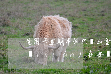 信用卡逾期半年只還本金(信用卡逾期一年半現(xiàn)在要還款需要怎么處理)