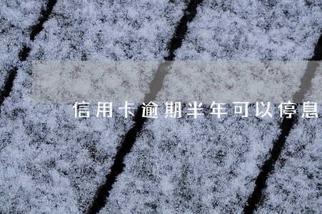 信用卡逾期半年可以停息掛賬