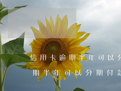 信用卡逾期半年可以分期付款嗎-信用卡逾期半年可以分期付款嗎嗎