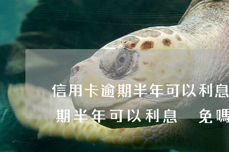 信用卡逾期半年可以利息減免嗎-信用卡逾期半年可以利息減免嗎知乎