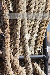信用卡逾期半年可以協(xié)商分期嗎(信用卡逾期半年可以協(xié)商分期嗎嗎)