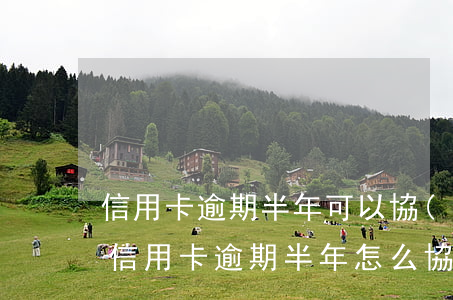 信用卡逾期半年可以協(xié)商分期嗎(信用卡逾期半年怎么協(xié)商分期)