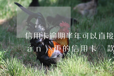 信用卡逾期半年可以直接還款嗎(逾期嚴(yán)重的信用卡還款還能用嗎)