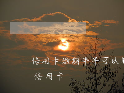 信用卡逾期半年可以解凍嗎(逾期多久會凍結信用卡)