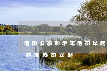 信用卡逾期半年后可以起訴嗎(朋友用信用卡逾期,我可以起訴嗎)