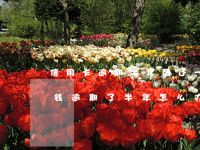 信用卡逾期半年后还一百有用吗-欠信用卡钱逾期了半年怎么办