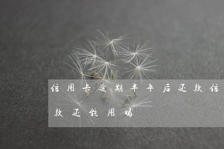 信用卡逾期半年后还款(信用卡逾期半年后还款还能用吗)